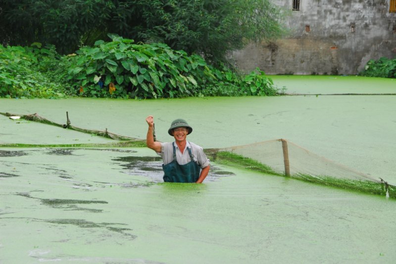 maciaoovveroxinchosalutovietnamita.jpg